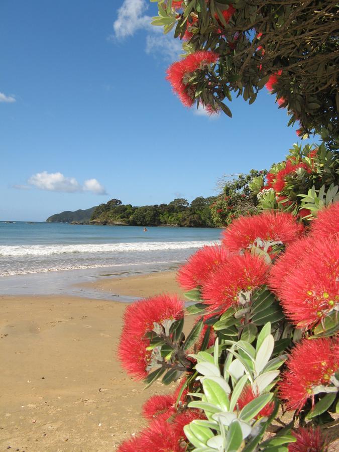 By The Bay Beachfront Apartments Mangonui Luaran gambar